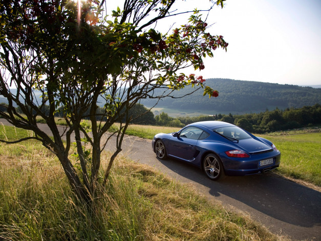 Обои картинки фото автомобили, porsche