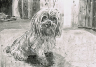 Картинка рисованное животные собака взгляд фон коврик