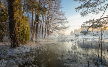 Картинка природа зима озеро лес осень