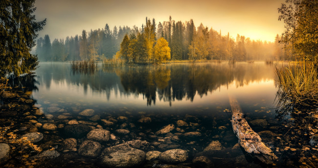 Обои картинки фото природа, реки, озера, деревья, tranquil, morning, lauri, lohi, озеро, туман, камни, утро, отражение, камыши, вода, рассвет, лес, осень
