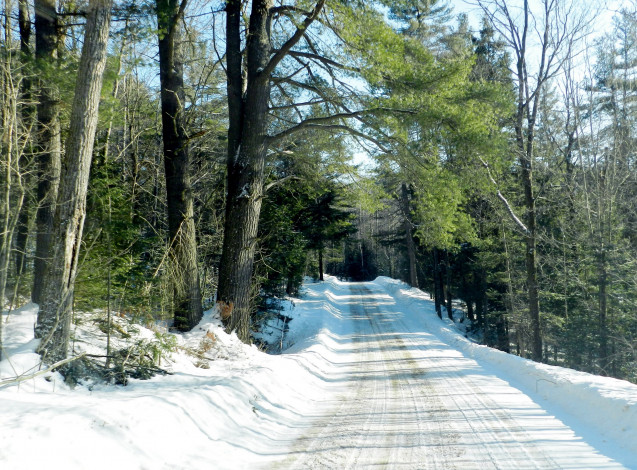 Обои картинки фото природа, дороги, дорога, зимняя, снег, деревья