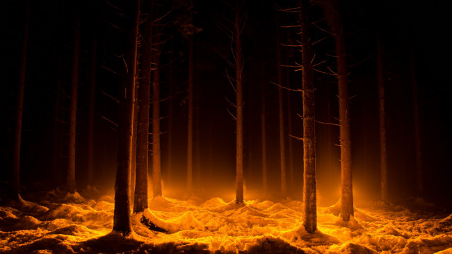 Обои картинки фото природа, лес, ночь, свет