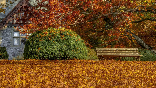 Обои картинки фото природа, парк, скамья, листья, осень, дом