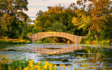 Картинка природа реки озера осень пруд мостик