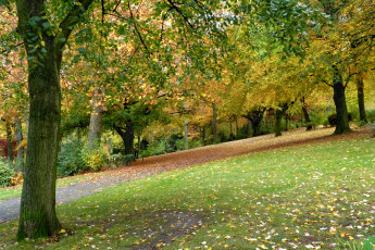 Картинка parк mouscron belgium природа парк деревья