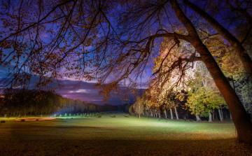 Картинка природа парк деревья ночь