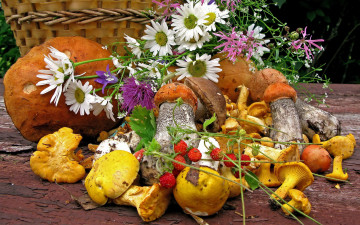 обоя еда, грибы, грибные, блюда, лисички, подосиновики, ромашки