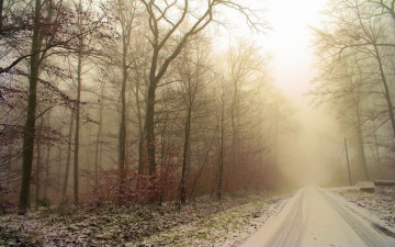 Картинка природа дороги туман дорога лес