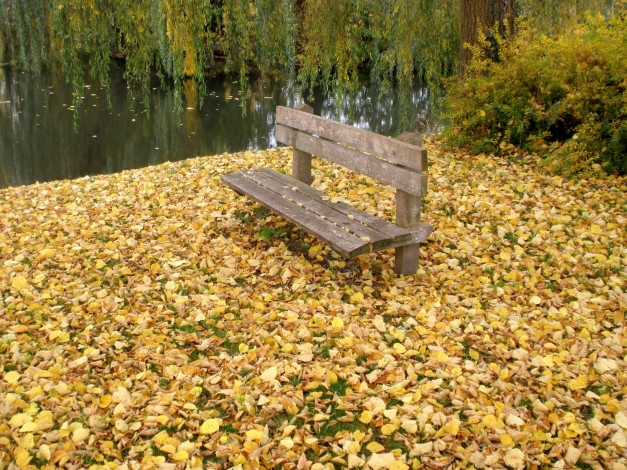 Обои картинки фото природа, парк, осень, река