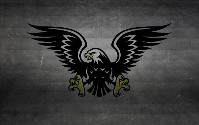 Обои картинки фото разное, надписи, логотипы, знаки, темный, фон, hawk, eagle, хищник, птица, ястреб, когти, крылья, полосы, черно-белый