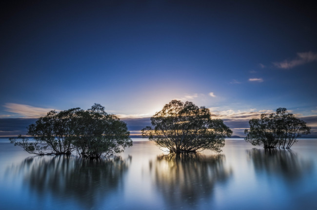 Обои картинки фото lake, taupo, new, zealand, природа, реки, озера, новая, зеландия, озеро, деревья
