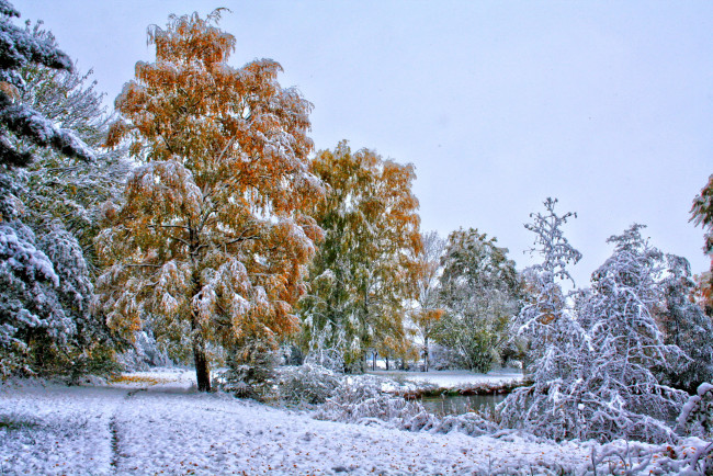 Обои картинки фото германия, лаупхайм, природа, зима