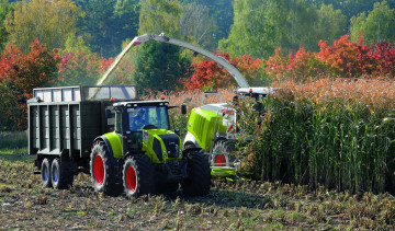 Картинка техника тракторы уборочная прицеп трактор комбайн кукуруза поле