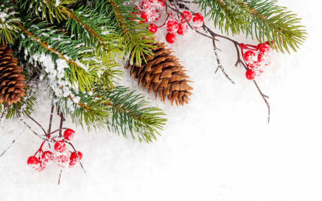 Обои картинки фото природа, Ягоды, зима, снег, снежинки, шишки, елка