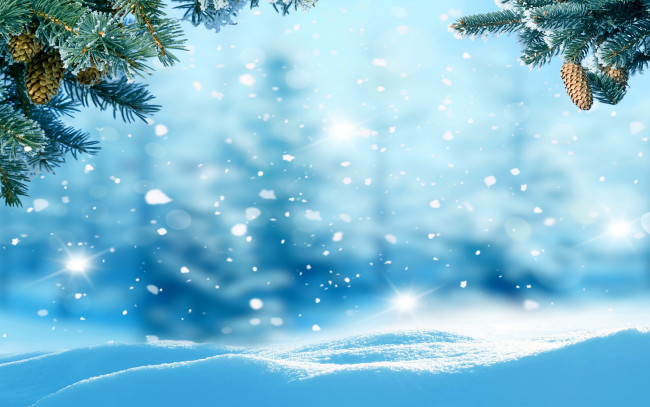 Обои картинки фото природа, зима, снежинки, елка, снег, лес, nature, snow, winter