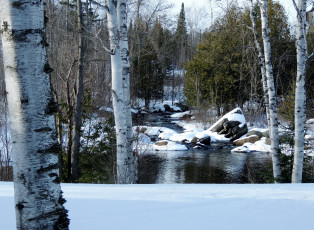 Картинка природа зима снег вода березы