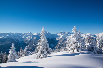 Картинка природа горы деревья небо снег зима