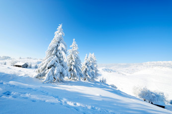 Картинка природа зима снег деревья дом склон