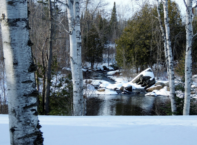 Обои картинки фото природа, зима, снег, вода, березы