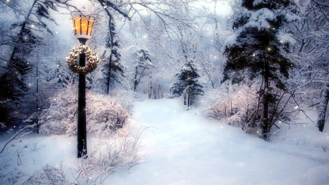 Обои картинки фото природа, зима, фонарь, снег, деревья, венок