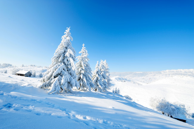 Обои картинки фото природа, зима, снег, деревья, дом, склон