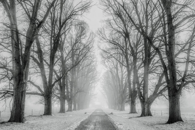 Обои картинки фото природа, дороги, деревья, снег, дорога