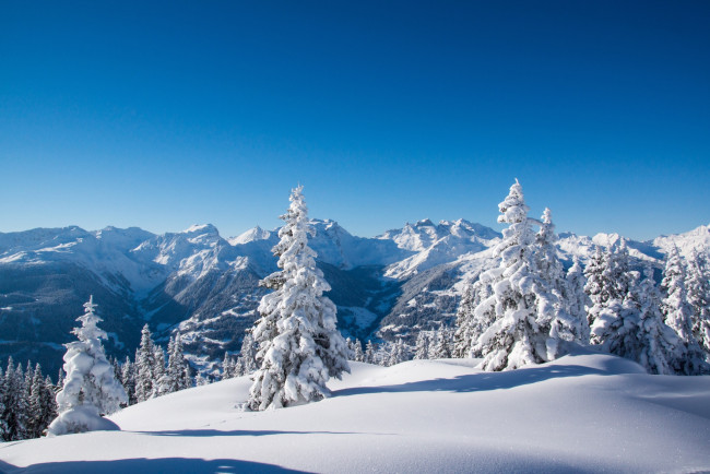 Обои картинки фото природа, горы, деревья, небо, снег, зима