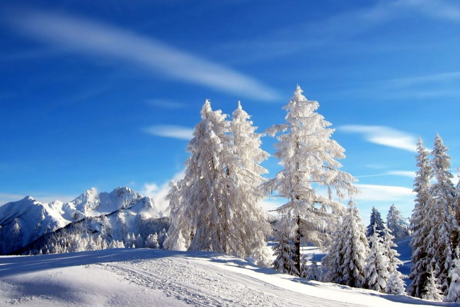 Обои картинки фото природа, зима, деревья, горы, иней, снег