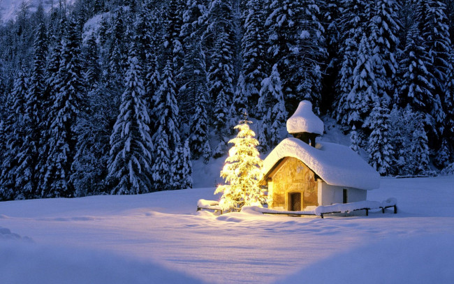 Обои картинки фото праздничные, новогодние пейзажи, часовня, огни, ёлка, снег, лес
