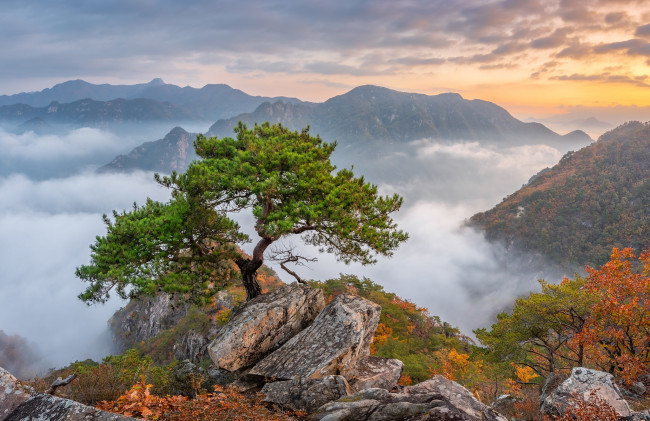 Обои картинки фото природа, пейзажи, южная, корея, азия, горы, деревья, ландшафт, скала