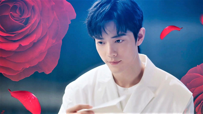 Обои картинки фото мужчины, xiao zhan, лицо, пиджак, розы, письмо, лепестки