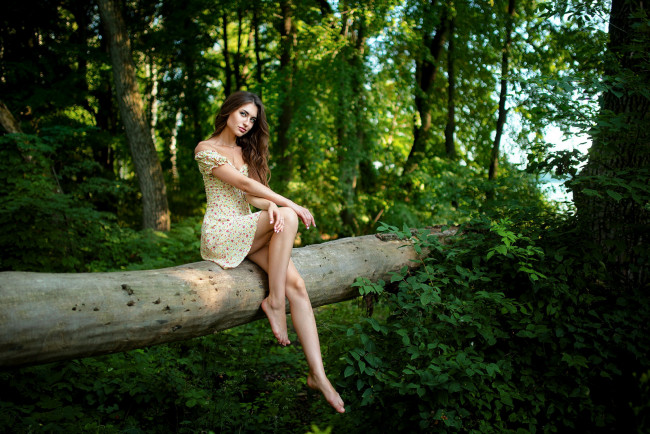 Обои картинки фото девушки, - брюнетки,  шатенки, лес, ствол, дерево, брюнетка, поза, платье