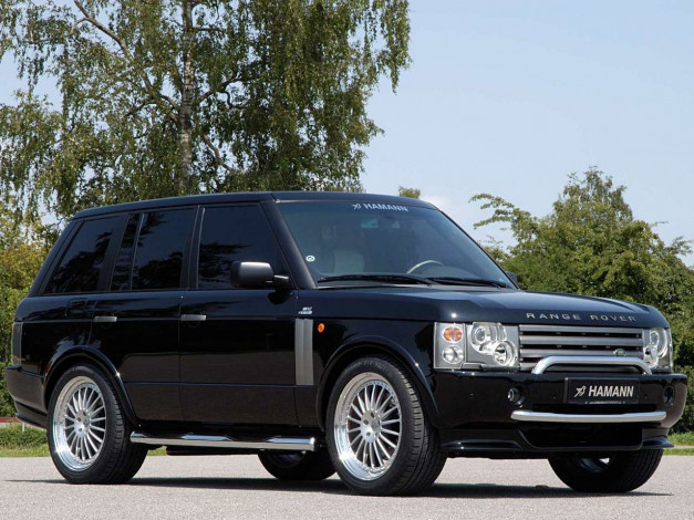 Обои картинки фото автомобили, range, rover