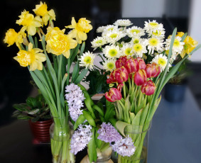 Картинка цветы разные вместе тюльпаны нарциссы хризантемы