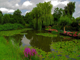 обоя природа, парк, пруд, деревья, цветы