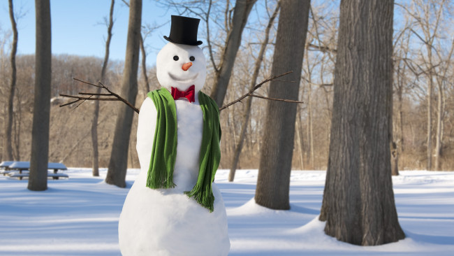 Обои картинки фото праздничные, снеговики, снег, шарф