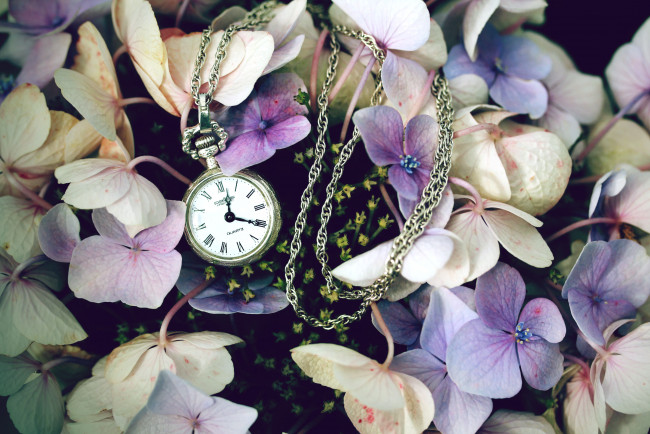 Обои картинки фото разное, Часы, часовые, механизмы, цветы, гортензия, часы, цепочка
