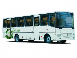 Картинка автомобили автобусы roza a081-20 baz