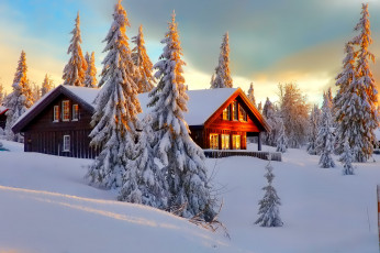 Картинка природа зима дом деревья снег