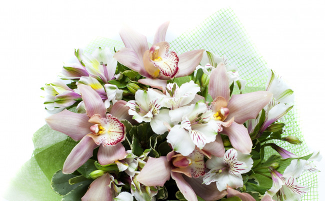 Обои картинки фото цветы, букеты,  композиции, орхидеи, букет, альстромерии