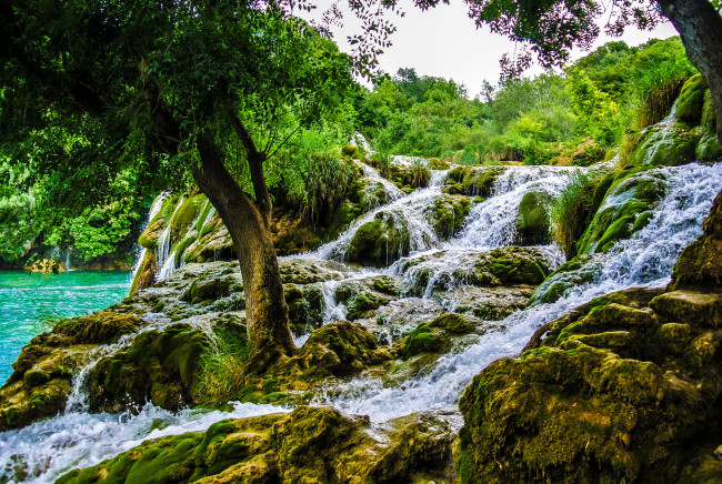 Обои картинки фото croatia krka nat,  park, природа, водопады, хорватия, водопад, парк