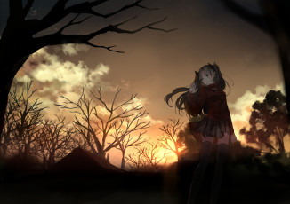 Картинка аниме fate stay+night звёзды деревья облака солнце вечер закат девушка tohsaka rin fatestay night арт bou shaku