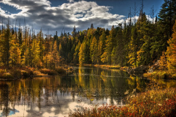 Картинка природа реки озера озеро лес деревья осень