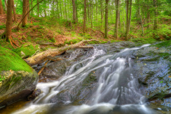 Картинка природа водопады лес ручей камни
