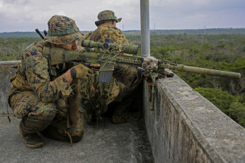 Картинка оружие армия спецназ винтовка снайперская снайпер крыша экипировка оптика