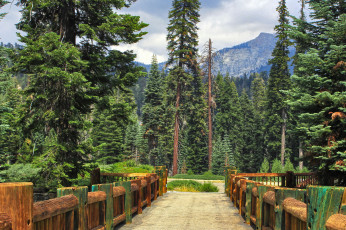 Картинка природа дороги лес мост тракт