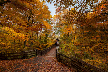 Картинка природа парк осень краски листва дорожка
