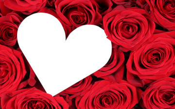Картинка праздничные день+святого+валентина +сердечки +любовь сердце красные розы flowers roses red