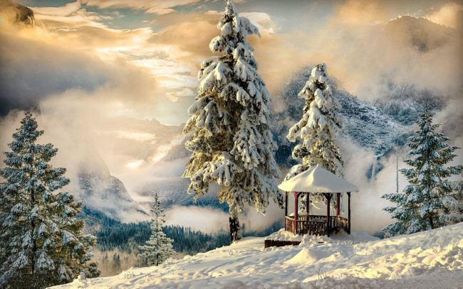 Обои картинки фото природа, зима, снег, ели, небо, альтанка