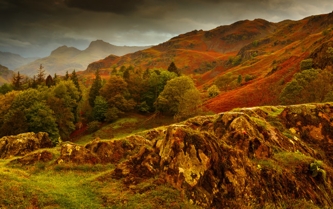Обои картинки фото природа, горы, осень, трава, камни, склон